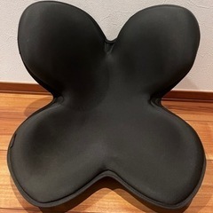 Style 骨盤サポートチェアの画像