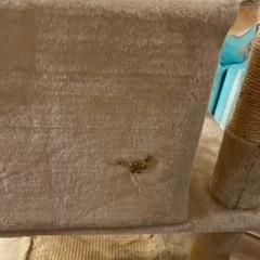 【無料】FEANDREA キャットタワー 猫タワー 麻紐 下部に爪とぎボード用意 子猫 シニアも遊べる ＋(希望者)猫用バナナベッドの画像