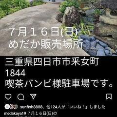 めだか販売行います。