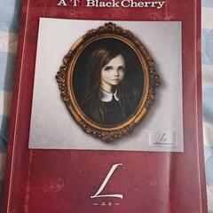 Acid Black Cherry　～L～　BAND SCORE
