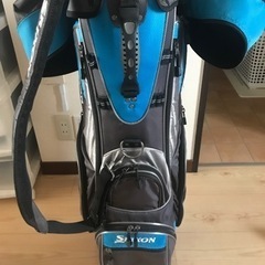 【決まりました】　SRIXONキャディーバック　おまけ付きの画像