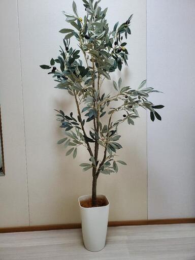 【引渡し者決定】フェイクグリーン 高さ140～150cm