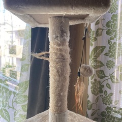 猫が喜ぶキャットタワーの画像