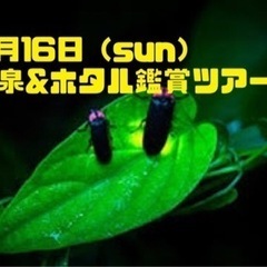 7月16日 ホタル鑑賞ツアーします！
