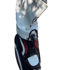 ヤマハRmxキャディバッグ難ありの画像