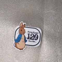 フィクシーズ　アイロン両用タイプ　シール　2点セットの画像