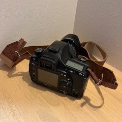 デジタル一眼レフ、望遠レンズ、三脚(おまけ)の画像