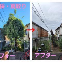 ☆便利屋☆補助スタッフ募集の画像