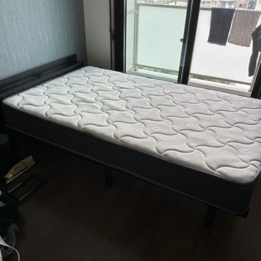 セミダブルベット