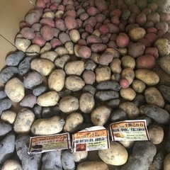 じゃがいも　玉ねぎ