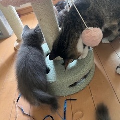 なかよし姉妹です！