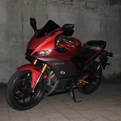 yzfr25(2019年式)etc着いてます！