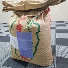 大容量　木質ホワイトペレット20kg （約33L）　猫砂／システ...