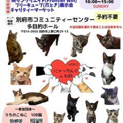 ♨別府コミュニティセンター♨で保護猫譲渡会🐱