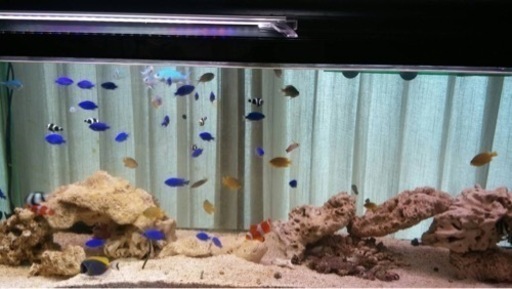 売れないので値下げします笑50,000を30,000でどうですか？全部引き取ってくれる方限定！