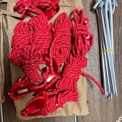 【未使用品】チャムス TCタープ CH62-1385