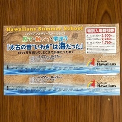 ハワイアンズ入場割引券 2枚セット