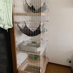 ネコゲージ3段の画像