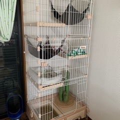 ネコゲージ3段