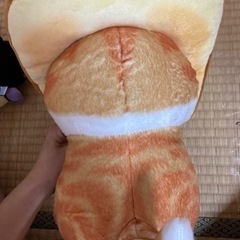 ぬいぐるみの画像