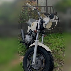 エイプ　50の画像