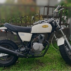 エイプ　50