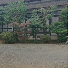 大切な木　剪定させてください