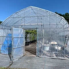 農業用ビニールハウス　お譲りください　解体作業致します