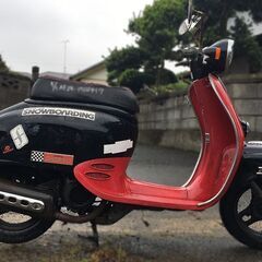 苫小牧フェリー埠頭受取 メット付 30km制限突破2種登録黄色可 【 ジョルノ 】 タイヤ新品 自走帰宅可 レトロスクーター つくば受取　ジョルノスペシャル限定車両 各部メッキ　原付バイクの画像