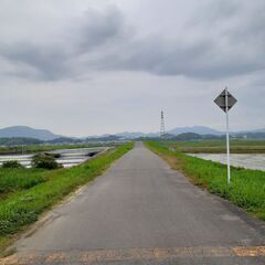 散歩、ハイキング仲間募集！