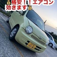 ‼️完売御礼！！ありがとうございました！‼️！！