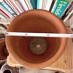 【値下げしました】細長い鉢の画像