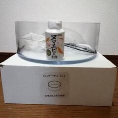 ☆  カミハタ・水槽  ☆