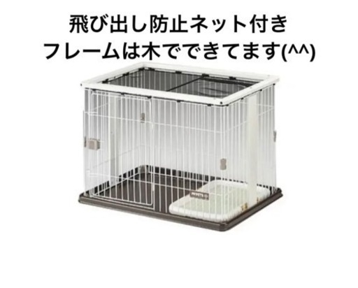 ボンビアルコン　ウッドワンサークル　白