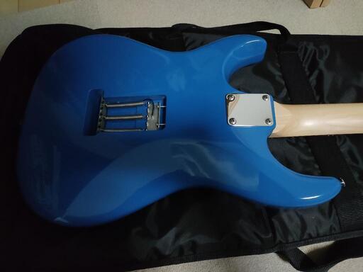 花園たえ ギター スナッパー ESP