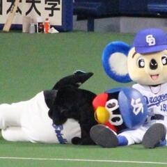 『OneBlue』関東在住ドラゴンズファン募集します⚾