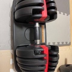 可変式ダンベル 24kg 2個セットの画像