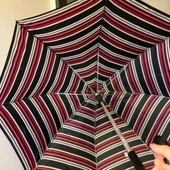 【値下げ】フランス/パリで購入⭐︎傘の画像