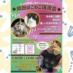 【7月岡田ほごねこ譲渡会】