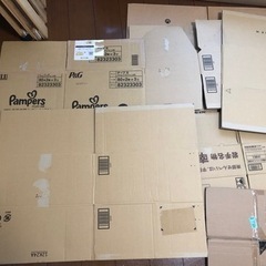 大小ダンボール詰合せ【文化祭】【自由研究】の画像