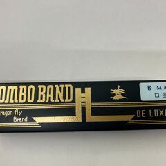 TOMBO 複音ハーモニカ　1521　Bメジャー　トンボバンド 21穴
