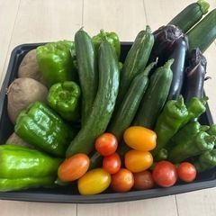 7/11 夏野菜盛り合わせ