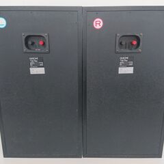 スピーカーペア　DIATONE　DS-77EXの画像