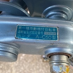 カブの画像