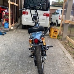 カブの画像