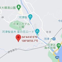 河津桜の河津町の土地　30万円 - 賀茂郡