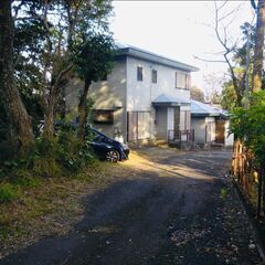 河津桜の河津町の土地　30万円 - 不動産