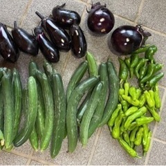 【格安】自家製野菜！