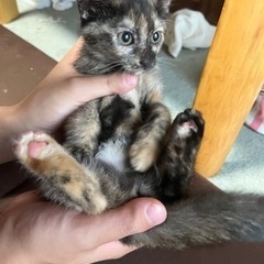 生後3ヶ月 ぶちゃ