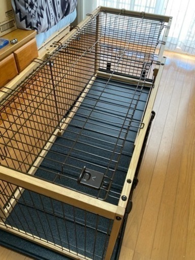 のびるサークル屋根面あり2ヶ所出入り口あり